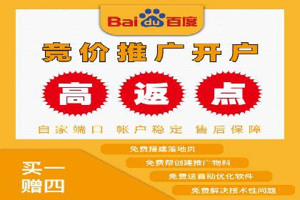 竞价广告的创意与执行：经典案例剖析